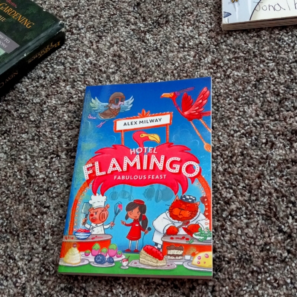 A chapter book